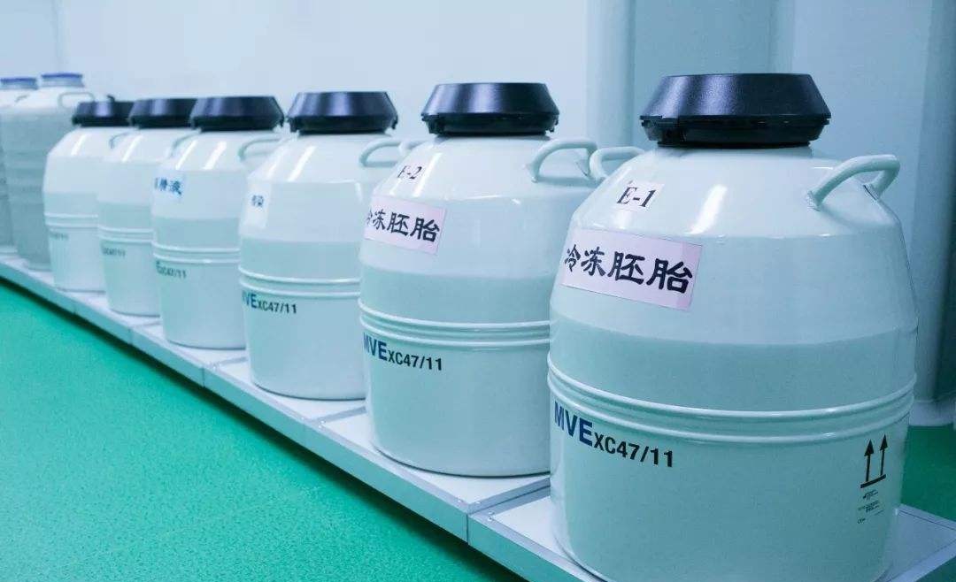 冷凍胚胎最長可以保存多久？