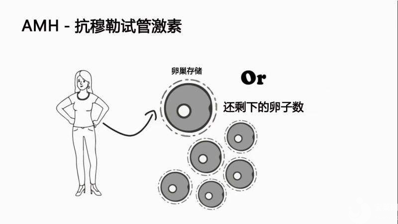 高齡女性如何提高AMH呢？