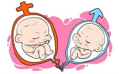 試管嬰兒移植后，原來胚胎經歷了這么多！