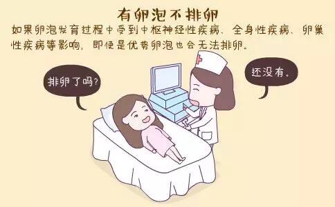 女性不排卵，是什么原因?qū)е碌哪兀? /></a>
	<div   id=