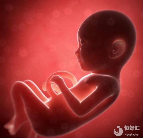 胎兒沒有胎心可以在子宮待多久？