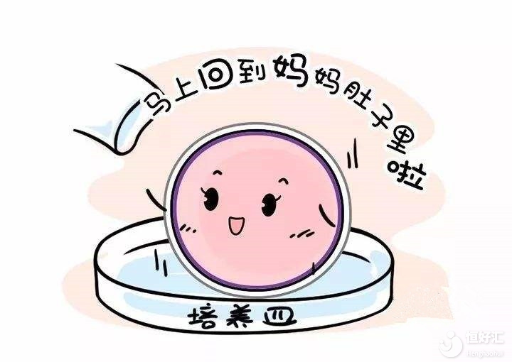答疑解惑：胚胎種類有哪些？成功率高嗎？