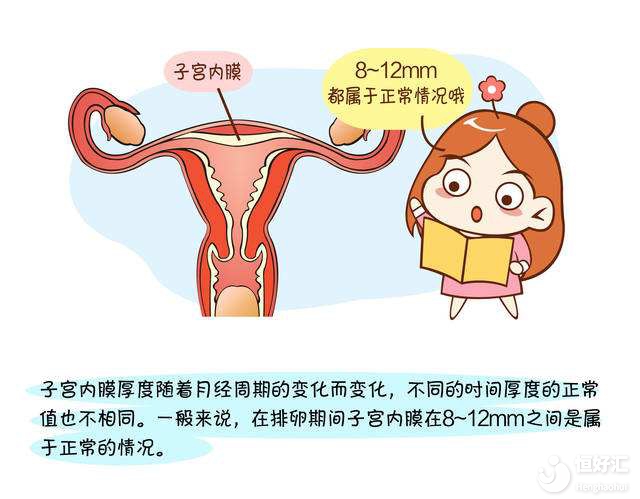 子宮內(nèi)膜的厚度影響試管嬰兒的啟動，是真的嗎？