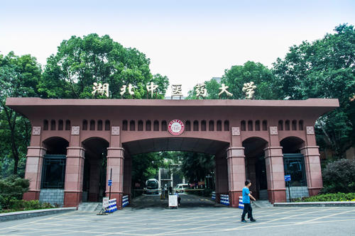 生殖學(xué)校大圖