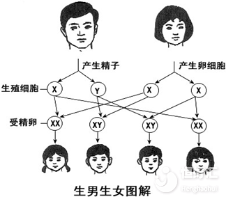有這種情況的夫妻更容易生男孩，看完你就知道了