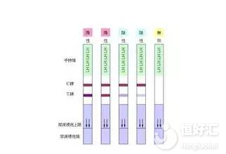 排卵試紙什么時候測最準(zhǔn)？建議選擇這兩個時間！