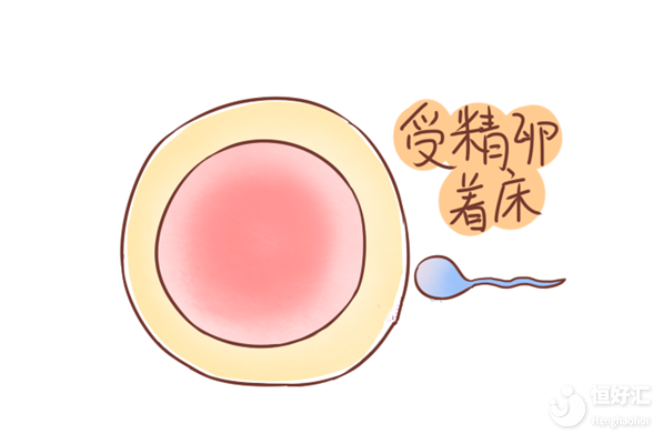受精卵著床失敗會排出分泌物？這3種異?，F(xiàn)象需注意