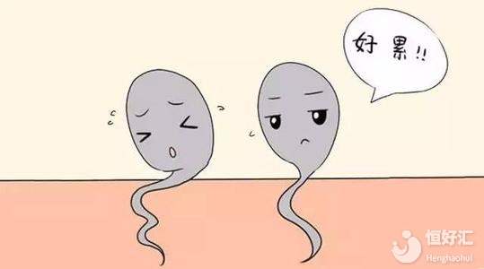 長期備孕為什么不孕？醫(yī)生：或許男方也有責(zé)任