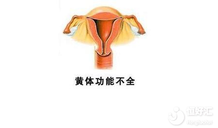 黃體在試管嬰兒中有何作用？這些好處別再錯(cuò)過(guò)了