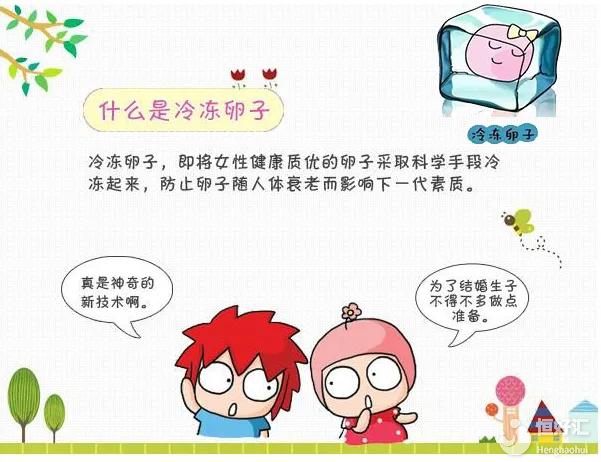 國內(nèi)單身女性能否冷凍卵子？看完這個再下決定