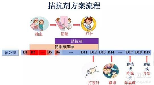 盤點拮抗劑方案的注意事項，這幾點很多人不知道