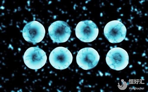 卵子質量差、數量少無法養囊嗎?也許是你想錯了