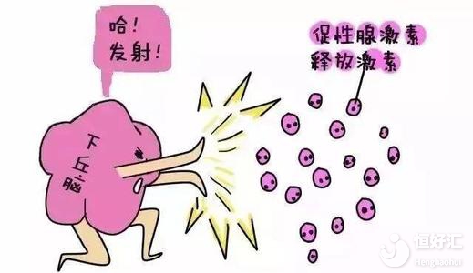 促排卵時卵泡長到多大才會排出？什么時候受孕？