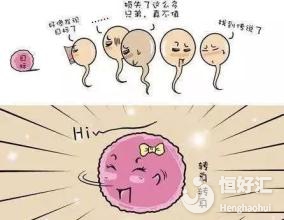 做試管嬰兒卵泡質量差？或許你可以這樣做