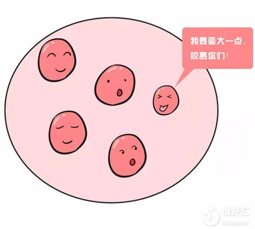  試管嬰兒多次促排對身體有害嗎？看完才知道