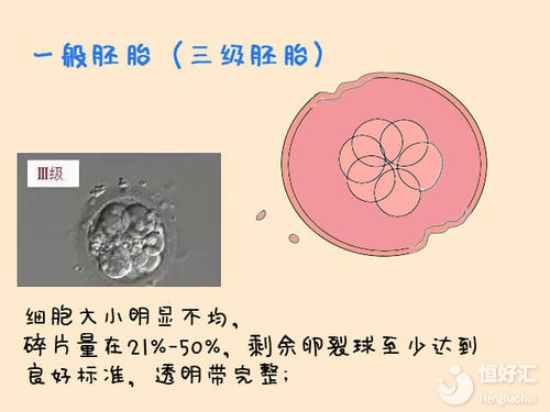 你知道優秀的胚胎長什么樣嗎？看完這個長見識
