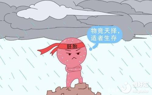 醫(yī)生告訴你不能盲目保胎的原因，血的教訓(xùn)！