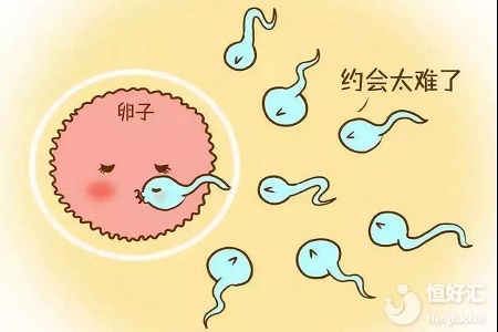 你知道你的卵巢為什么不排卵了嗎？原因你想不到