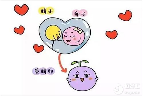 促排前應該如何調理身體？做好這幾點很重要