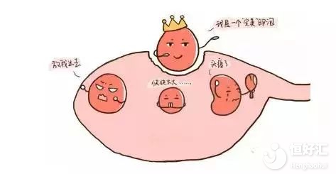 孕前請(qǐng)注意卵泡發(fā)育，或許它是你人生轉(zhuǎn)折點(diǎn)