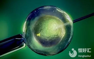 試管嬰兒囊胚培養(yǎng)是什么意思？看這個你就懂了