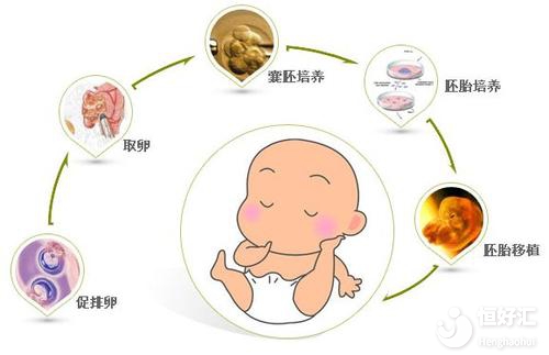 如何保證凍胚移植成功？看完不要太意外