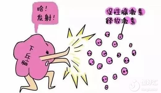 試管促排吃藥需要多長時(shí)間？這個(gè)你想不到
