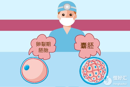 走進試管嬰兒：了解早期胚胎和囊胚的區(qū)別！
