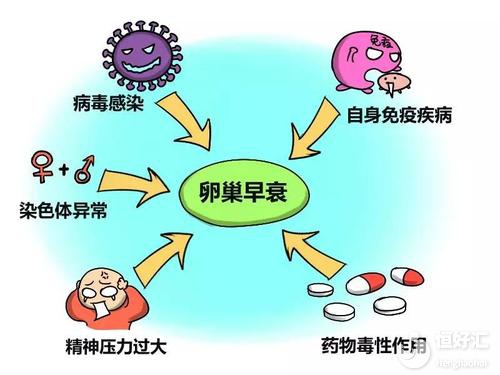 25歲的肚子裝著50歲的卵巢？原因你絕對(duì)想不到