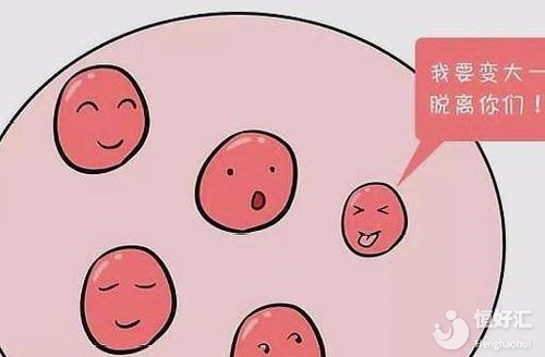 大齡女應(yīng)該如何備孕？教你幾招提高卵子質(zhì)量