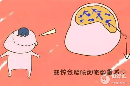 夫妻缺鋅會引起不孕不育，請提高警惕！