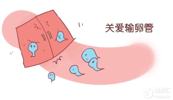 <strong> 輸卵管反復粘連是繼續治療還是選擇試管嬰兒？</strong>
