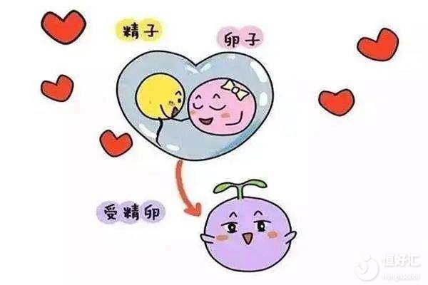 <strong>試管嬰兒過(guò)程有哪些必不可少的步驟？</strong>