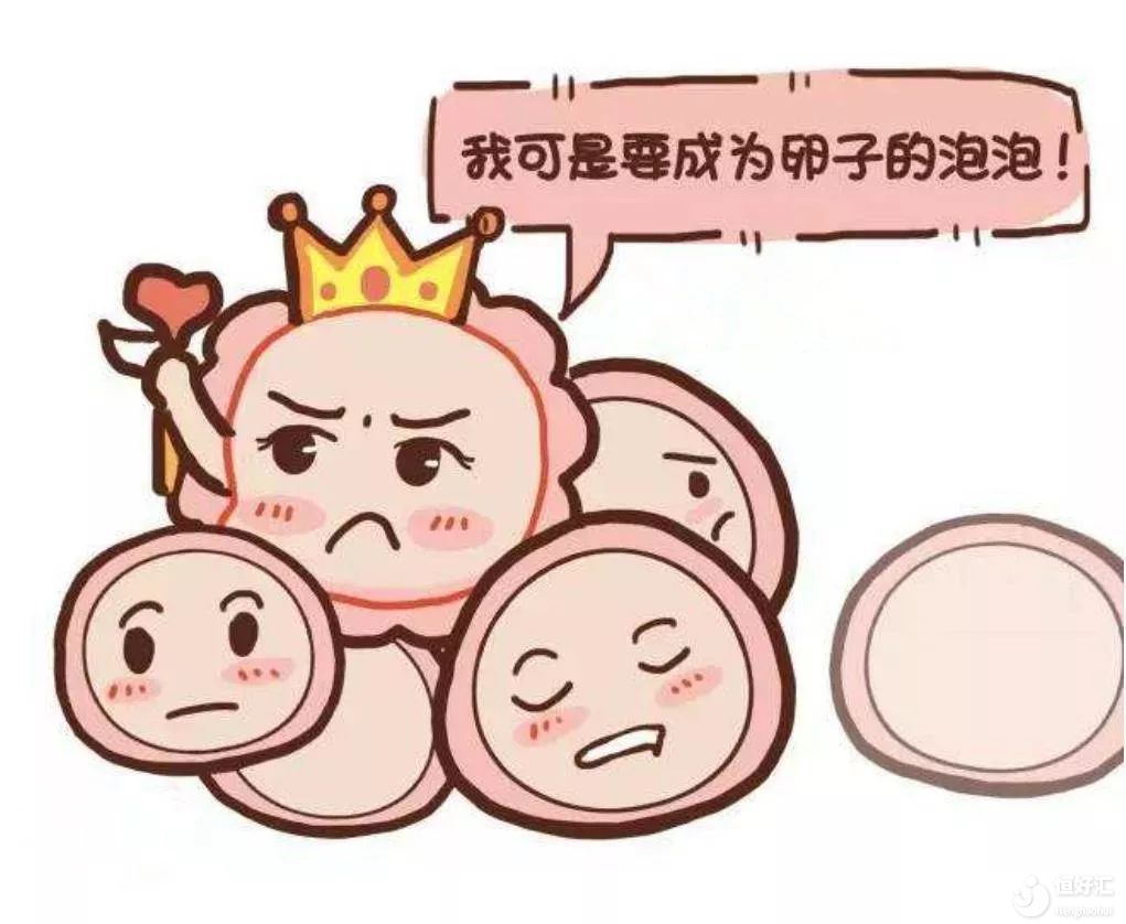 卵泡長(zhǎng)不大是怎么回事？該怎么調(diào)理？