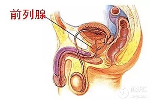 男方有前列腺炎會(huì)影響試管受孕嗎？