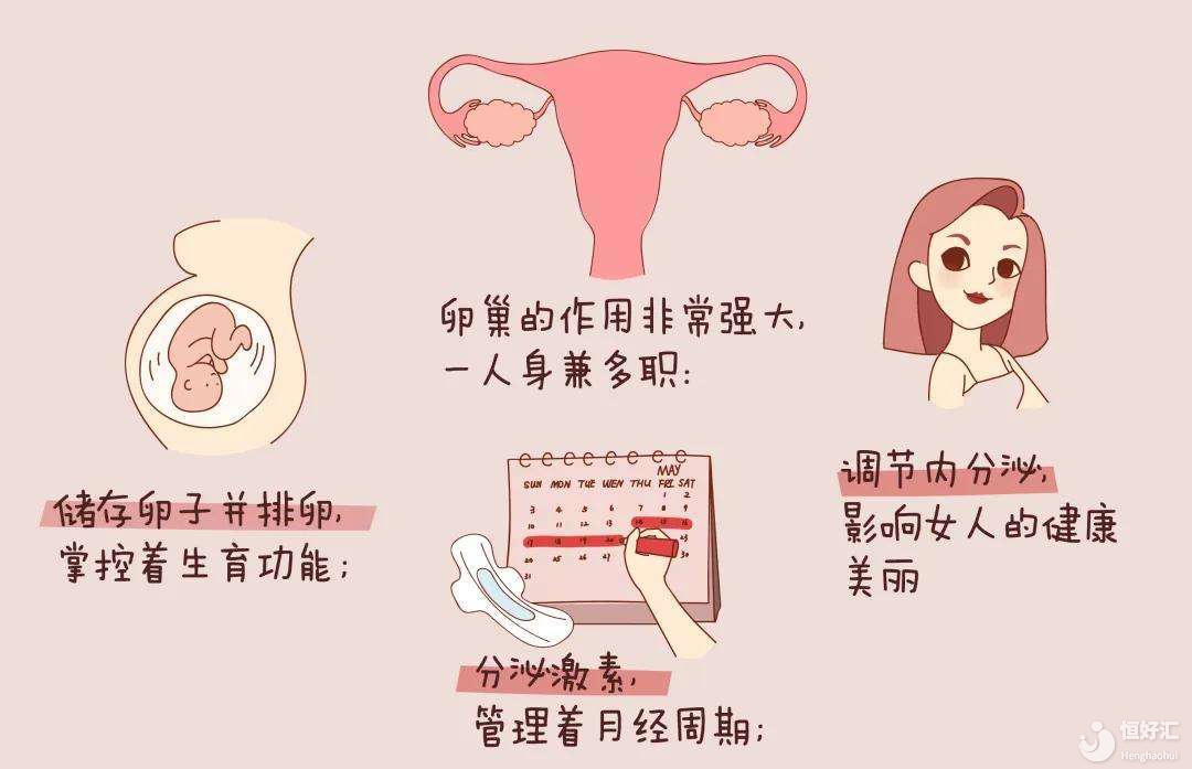 人年輕，卵巢卻老了，為什么會卵巢早衰？還能懷孕嗎？