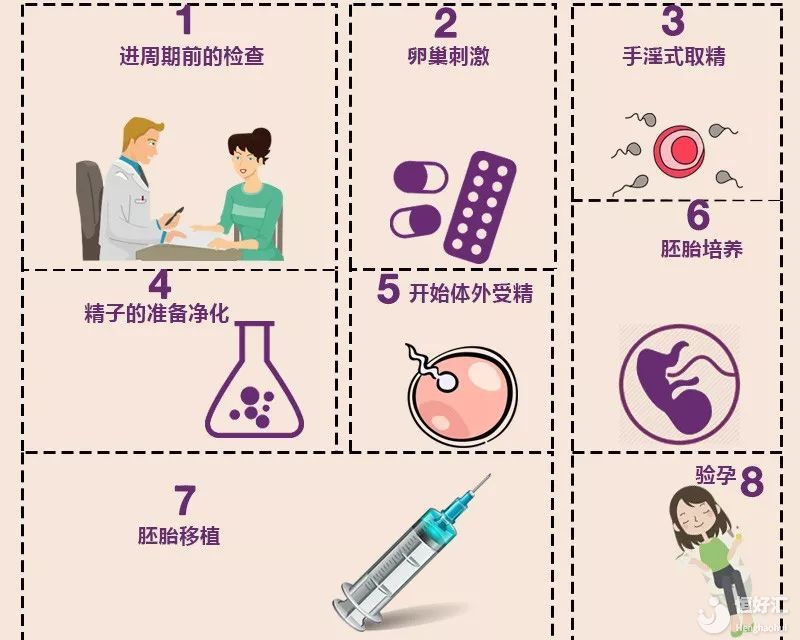 試管嬰兒的步驟、預(yù)算和時(shí)間管理
