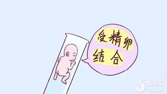 鮮胚、凍胚、囊胚，試管嬰兒中哪種移植成功率高？如何選？