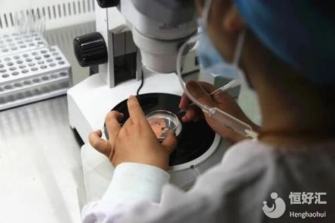 在成都進行試管嬰兒的價格是多少？